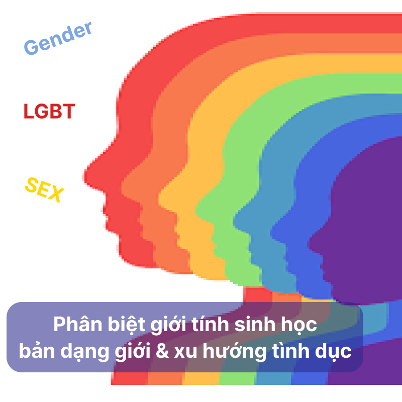 Phân biệt giới tính sinh học, bản dạng giới và xu hướng tính dục